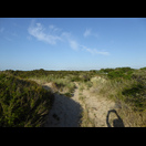 Die Dünen im Anschluss an den Campingplatz